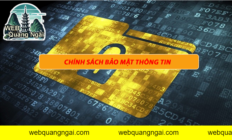 Những thông tin nào được thu thập?